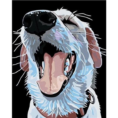 zuty Malování podle čísel Pes s červeným obojkem 80 x 100 cm vypnuté plátno na rám