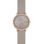 Skagen SKW3060 Часовници