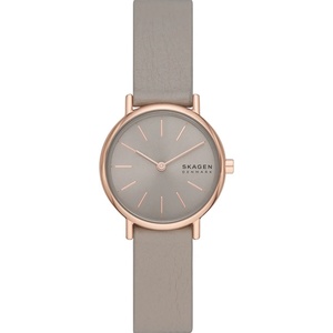 Skagen SKW3060 Часовници