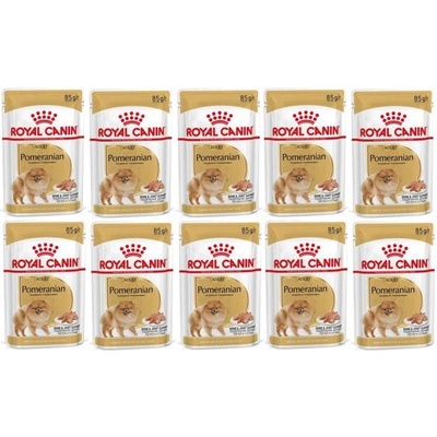 Royal Canin Adult Pomeranian 12 x 85 g