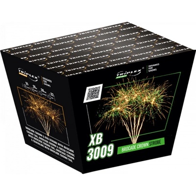 Triplex Baterie 25 ran XB3009