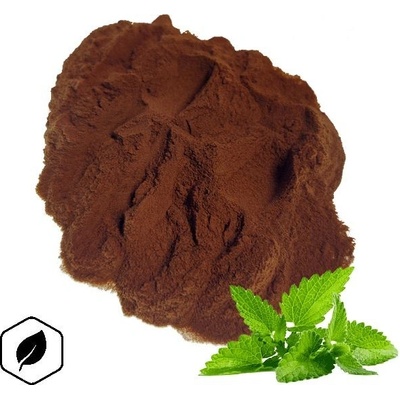 LifeChi Mentha piperita extrakt v prášku 100 g