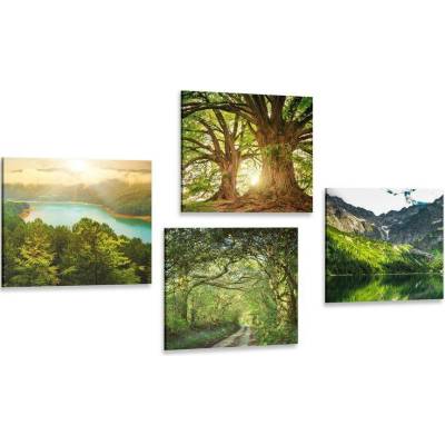 Set obrazů nádherná zelená příroda - 4x 40x40