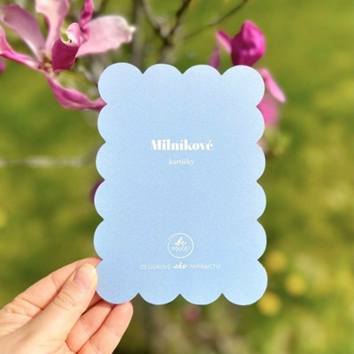Be Nice EKO Milníkové kartičky pro miminka modré – Zboží Mobilmania