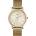 Timex TW2R36100