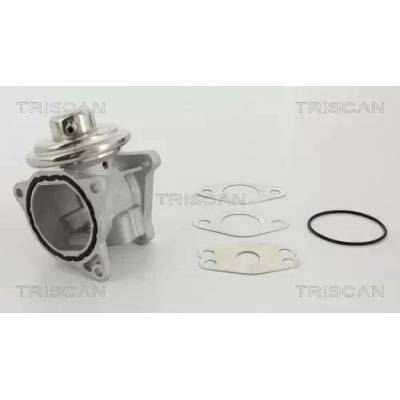 TRISCAN AGR ventil TRI 8813 29111