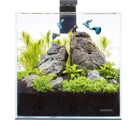Aqualighter Pico set 5 l