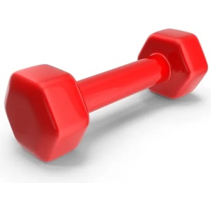 BodyFlex Гира с винилово покритие Bodyflex 5 кг