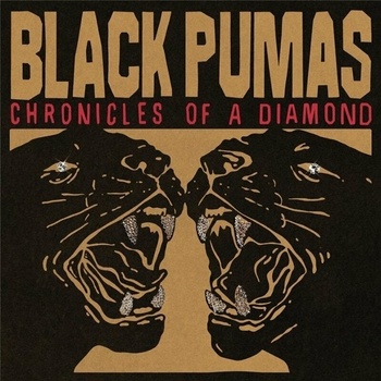 Image 1 of Black Pumas - Chronicles Of A Diamond (Clear Coloured) (LP) (ATO0654LP)