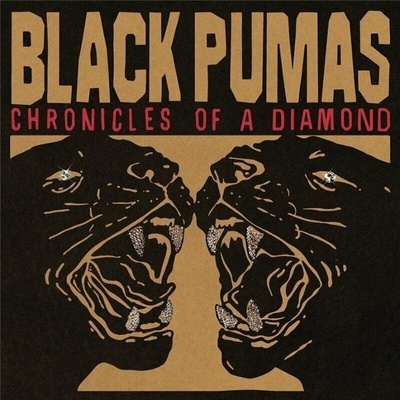 Black Pumas - Chronicles Of A Diamond (Clear Coloured) (LP) (ATO0654LP)