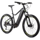 Leader Fox Altar 2023