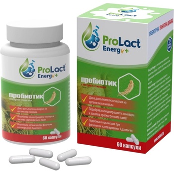ProLact Energy+ Пробиотик за повече енергия и концентрация, 60 капсули, ProLact (PL200)