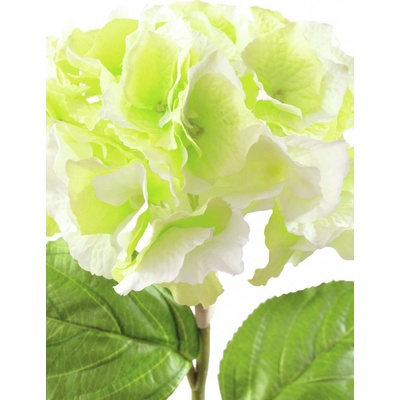 Hortenzie větvička zelená, 76 cm