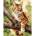 Qbee Paint by numbers - Hunter on the tree 40x50cm