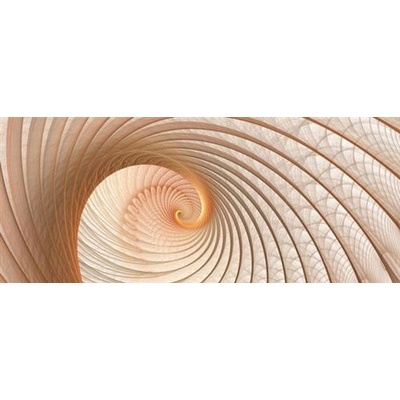 IMPOL TRADE 308VEP Fototapeta vliesová lastúra hnedá rozmer 250 cm x 104 cm
