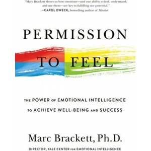 Permission to Feel: The Power of Emotional Intelligence to Achieve Well-Being and Success (ISBN: 9781250212832)