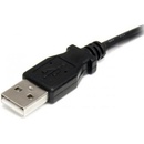 StarTech USB2TYPEH