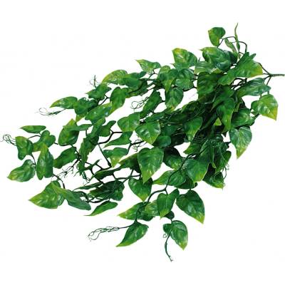 Lucky Reptile Ivy Bush 50 cm