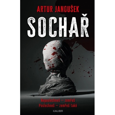 Sochař - Artur Janoušek