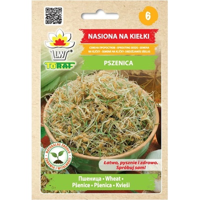 Pšenice – semínka na klíčení 50g