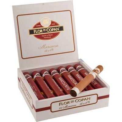 Flor de Copan Flor de Copan Monarchas 1 ks