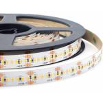 SOLI LIGHTING SL-F2216BL300B-30K : : LED лента, 3000K, 300 LEDs-м, 20W-м, 24V, IP20, 10 мм, 5.0 м