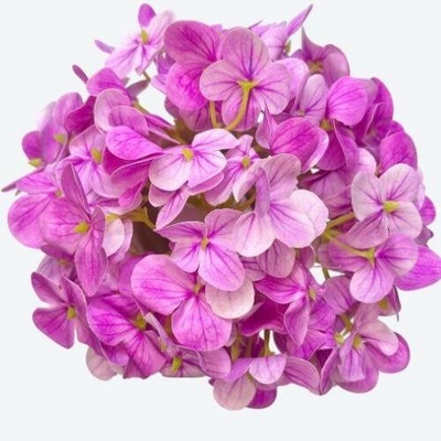 Umelá hortenzia ružová 15 cm