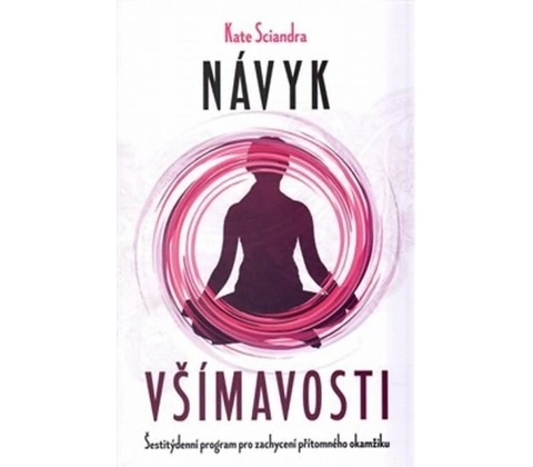 Návyk všímavosti