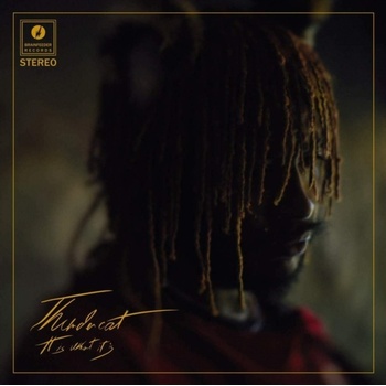 THUNDERCAT - IT IS WHAT IT IS CD