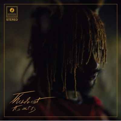 THUNDERCAT - IT IS WHAT IT IS CD