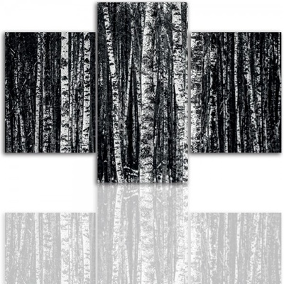 Divio Třídílný obraz na plátně stromy, vzor 12214 Velikost: 120x180 cm