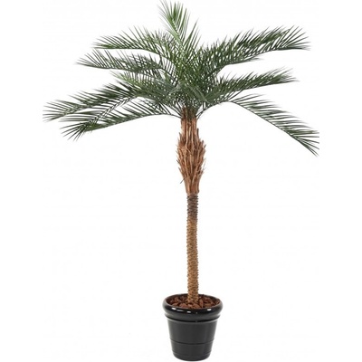 Luxusní umělá palma PHOENIX PLAST palma, 220cm