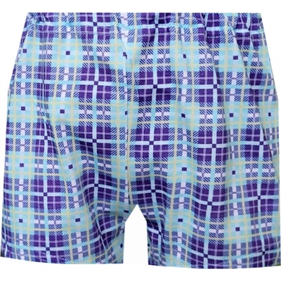 Foltýn dětské trenýrky DT139