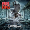 Mr. Big - Defying Gravity CD