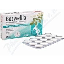 Favea BOSWELLIA s chondroitínom a kolagénom 30 tabliet