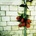 PINEAPPLE THIEF: VARIATIONS ON A -DIGI- CD
