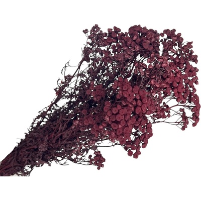 Stabilizované kvety Vratič Tanacetum 100g - bordový