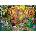 Anatolian - Puzzle Secret Garden - 1 000 piese