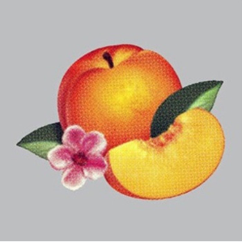 PHOENIX: BANKRUPT! LP
