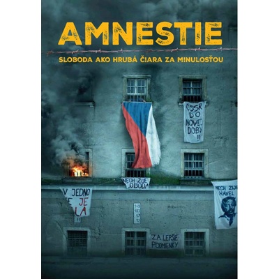 Amnestie - Kolektív autorov