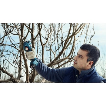 Bosch Pro Pruner 06019K1020