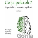 Co je pokrok