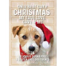 Flamingo Adventní kalendář s pamlsky pro psy 295g