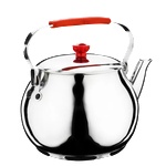 Haschever HR-HOME PERFECT-Чайник 3.5L Ø18xh14cm (4CYCLK0300002) (0189371)