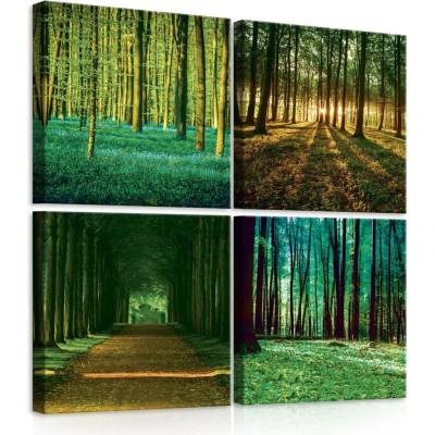 Postershop Obraz na plátně: Les - set 4ks 25x25cm