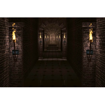 DIMEX ART s. r. o Флизелинов фототапет коридор на замъка 375 x 250 см