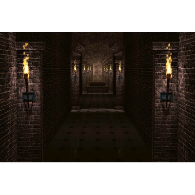 DIMEX ART Флизелинов фототапет коридор на замъка 375 x 250 см