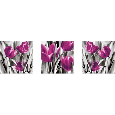 Růžové tulipány 1 deska 100x35