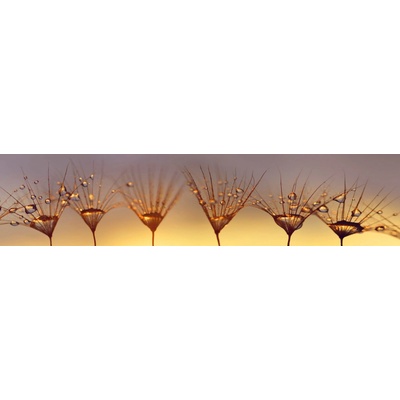 Dimex KI260-121 Fototapeta do kuchyně Raindrop rozměry 260 x 60 cm