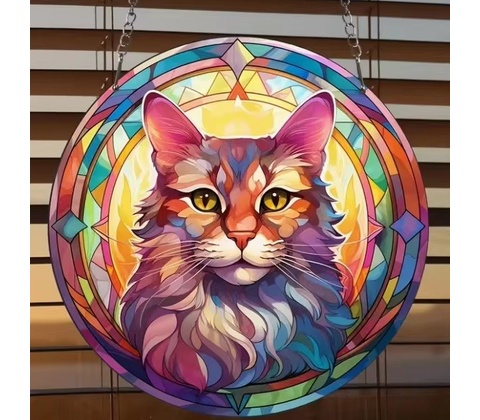 Slnka Cat Typ3